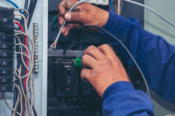 Best Electric Panel Repair  in Walnut Grove, GA